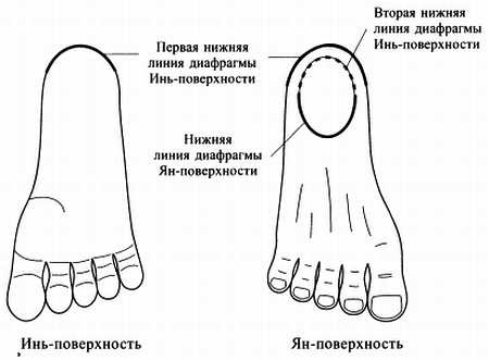 Сам себе Су Джок доктор