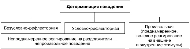 Психология воли Психология воли