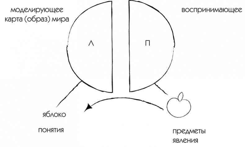 МЖ. Как научиться жить душа в душу с тем, кого любишь