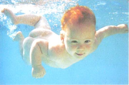 Библия языка телодвижений