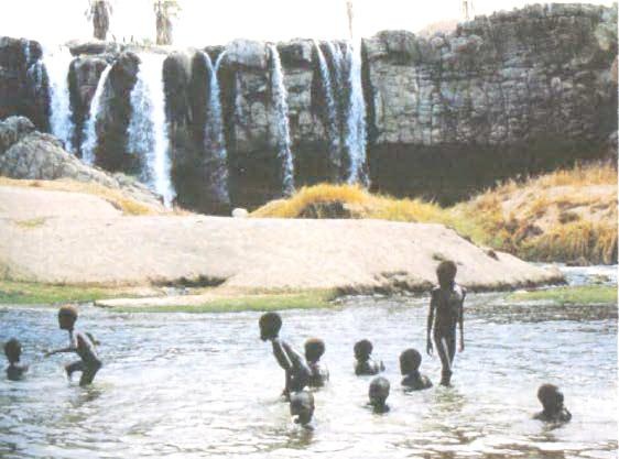 Библия языка телодвижений