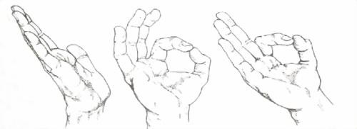 Библия языка телодвижений