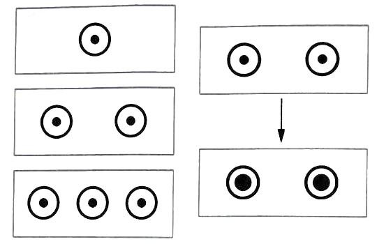 Библия языка телодвижений
