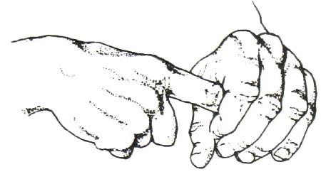 Библия языка телодвижений