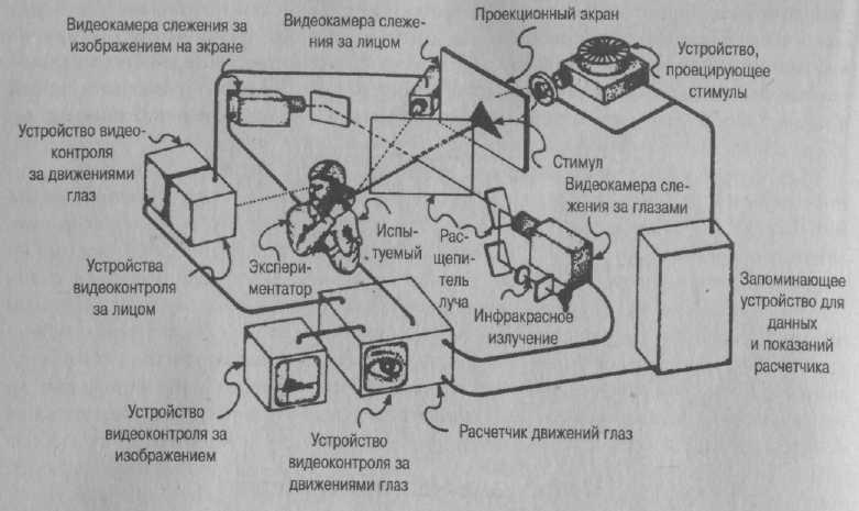 Психология развития. Методы исследования
