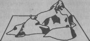 Психология развития. Методы исследования