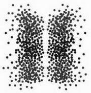 На волне Вселенной. Шрёдингер. Квантовые парадоксы