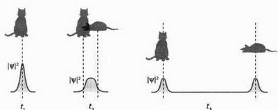 На волне Вселенной. Шрёдингер. Квантовые парадоксы На волне Вселенной. Шрёдингер. Квантовые парадоксы