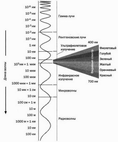 На волне Вселенной. Шрёдингер. Квантовые парадоксы На волне Вселенной. Шрёдингер. Квантовые парадоксы
