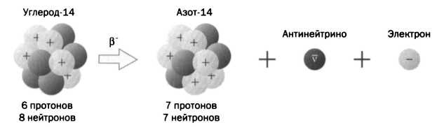 Лиза Мейтнер. Расщепление ядра