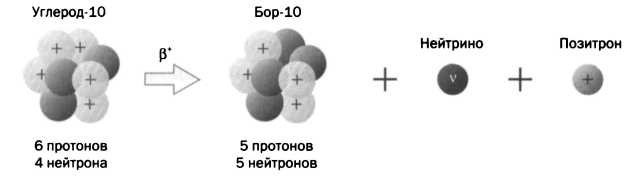 Лиза Мейтнер. Расщепление ядра