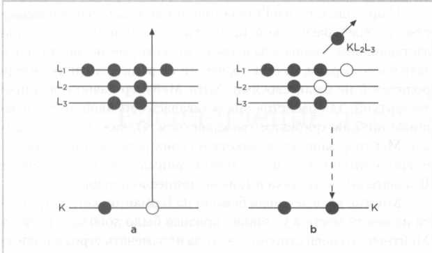 Лиза Мейтнер. Расщепление ядра