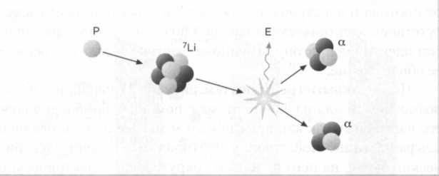 Лиза Мейтнер. Расщепление ядра