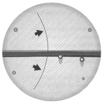 Лиза Мейтнер. Расщепление ядра