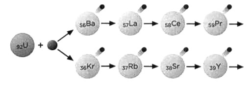 Лиза Мейтнер. Расщепление ядра