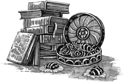 Тайна дома с часами Тайна дома с часами