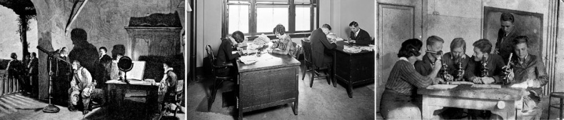 Псевдонаука Псевдонаука