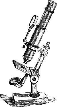 Псевдонаука
