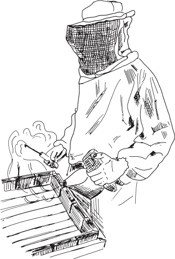 В тайге (сборник). С вопросами и ответами для почемучек В тайге (сборник). С вопросами и ответами для почемучек