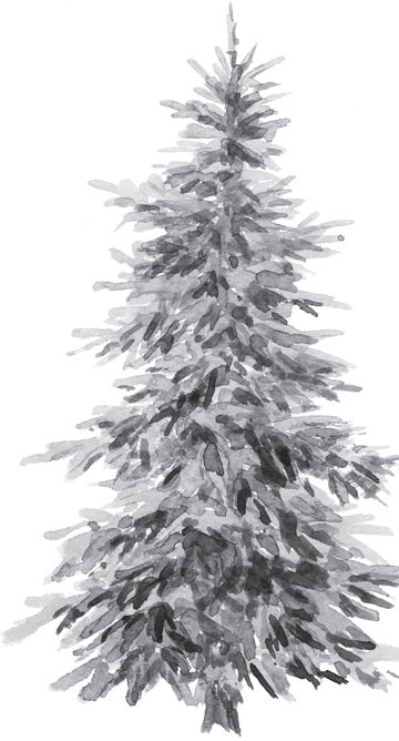 В тайге (сборник). С вопросами и ответами для почемучек