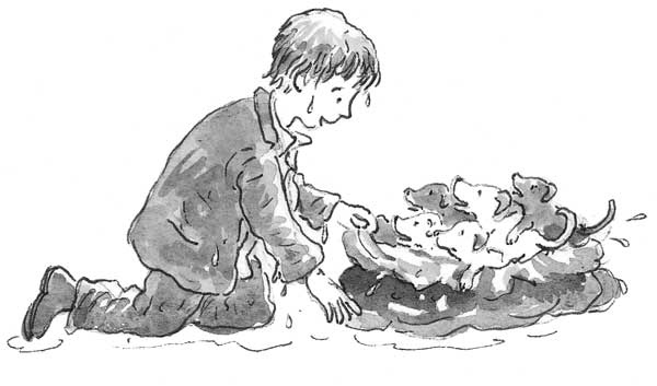 Рожденный бежать Рожденный бежать