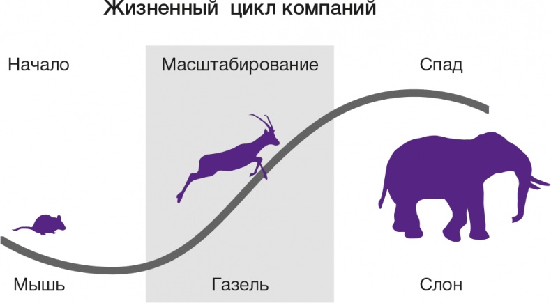 Развитие бизнеса: инструменты прибыльного роста