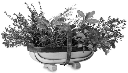 Фэн-шуй на вашей кухне Фэн-шуй на вашей кухне