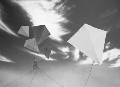 Фэн-шуй на вашей кухне Фэн-шуй на вашей кухне