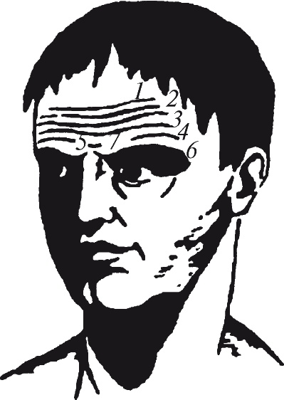 Как читать человека. Черты лица, жесты, позы, мимика