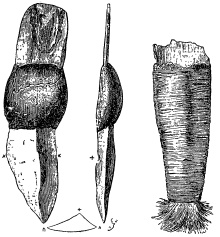 Мифы и легенды австралийских аборигенов