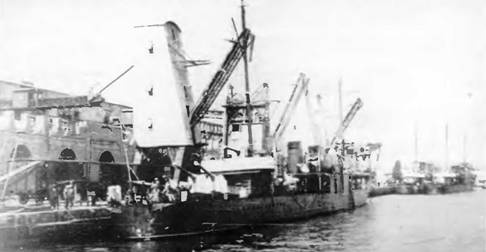 Эскадренные миноносцы типа "Новик" в ВМФ СССР