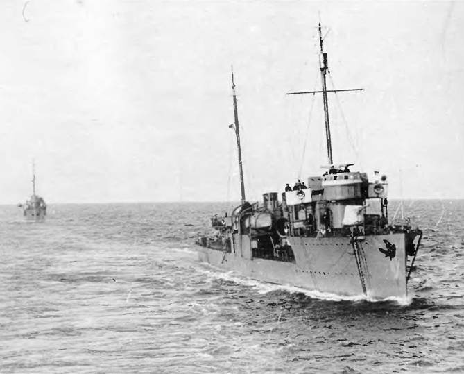 Эскадренные миноносцы типа "Новик" в ВМФ СССР