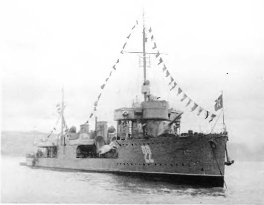 Эскадренные миноносцы типа "Новик" в ВМФ СССР