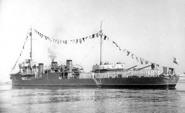 Эскадренные миноносцы типа "Новик" в ВМФ СССР