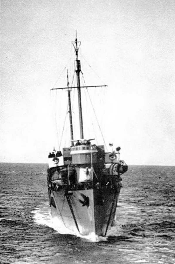 Эскадренные миноносцы типа "Новик" в ВМФ СССР