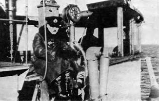 Эскадренные миноносцы типа "Новик" в ВМФ СССР