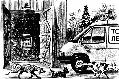 Пудель бродит по Европе Пудель бродит по Европе