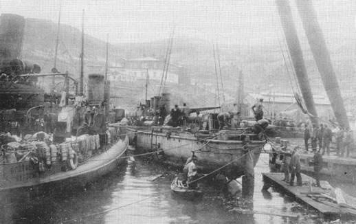 Миноносцы Первой эскадры флота Тихого океана в русско-японской войне (1904-1905 гг.)