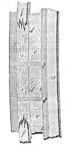 Броненосные фрегаты “Минин” и “Пожарский”