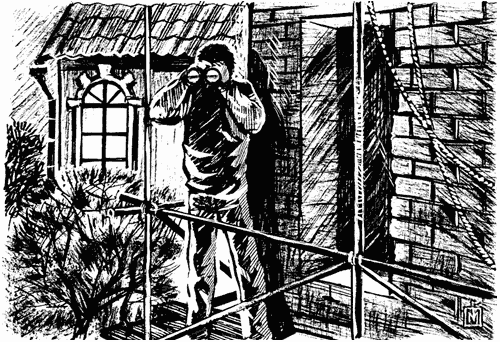 Мафия против темных сил Мафия против темных сил