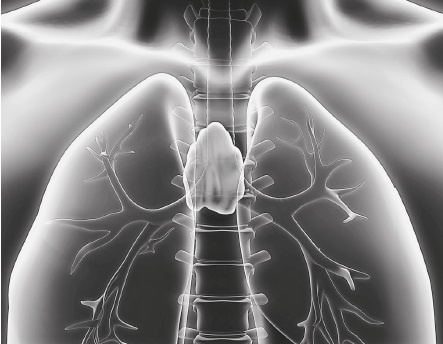 Вся правда о гормонах и не только Вся правда о гормонах и не только