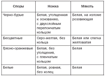 Полная энциклопедия грибов