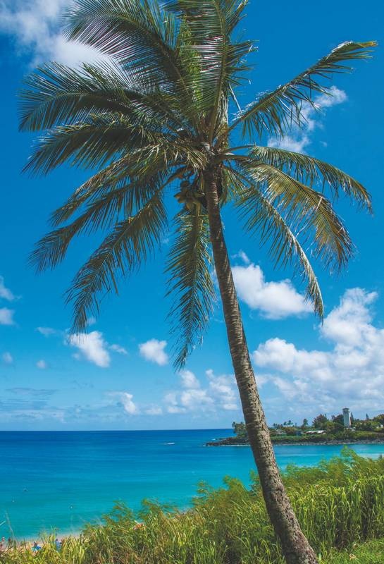 Хоопонопоно. Гавайские практики для счастливой жизни