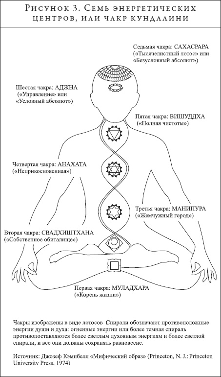 Анатомия духа. Семь ступеней к силе и исцелению
