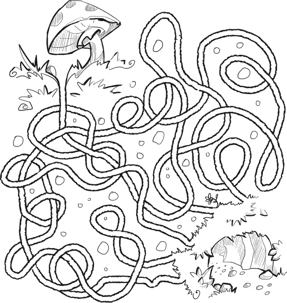 Тайна лабиринта Тайна лабиринта