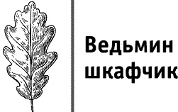 Круг Года. Викканские праздники, их атрибуты и значение
