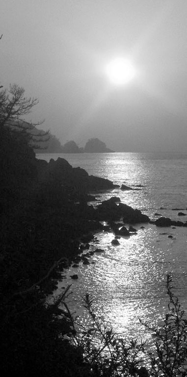 Самураи. Первая полная энциклопедия Самураи. Первая полная энциклопедия