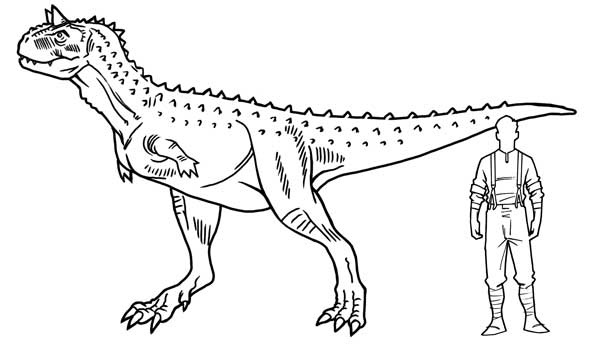 Загадка города-призрака