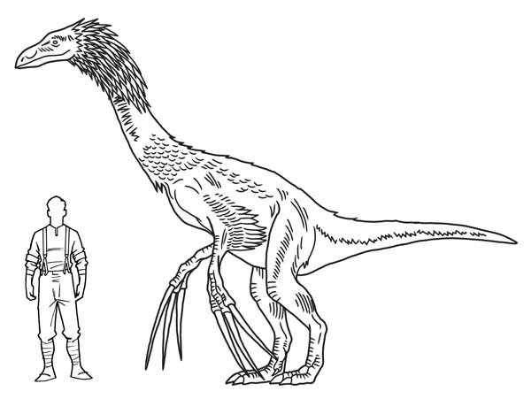 Загадка города-призрака