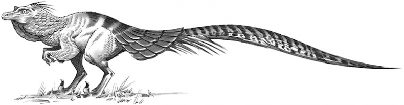 Секрет рапторов